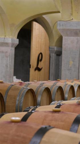 Domaine du Château Larroque (Domaine du Chateau Larroque) in Mirepoix