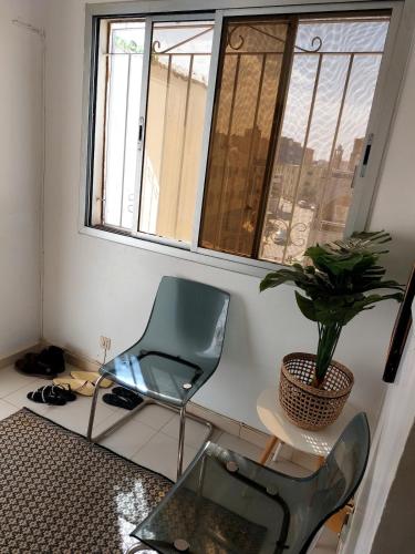 One-Bedroom Apartment image 10