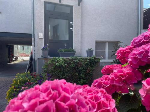 外部景觀, Casa Amalia in 格林貝格