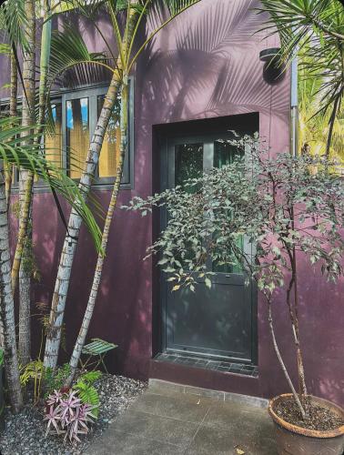 Villa piscine Les Cordylines - Location saisonnière - La Possession