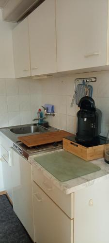 Ferienwohnung Waldblick in Frauenstein in 弗勞恩施泰因