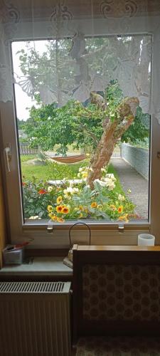 Ferienwohnung Waldblick in Frauenstein in 弗勞恩施泰因