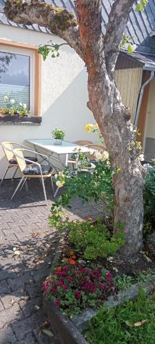 Ferienwohnung Waldblick in Frauenstein in 弗勞恩施泰因
