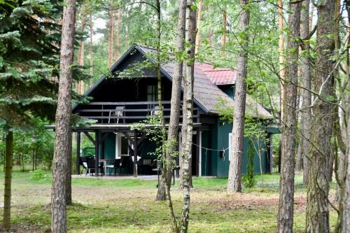 Daleko od Szosy
