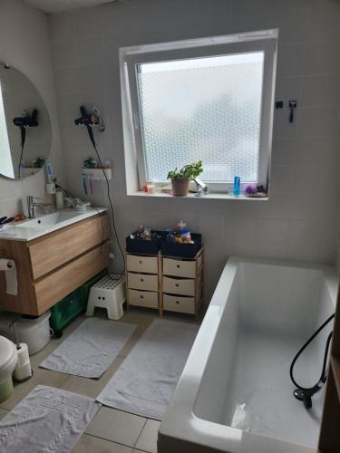 Tomorrowland rooms in Reet