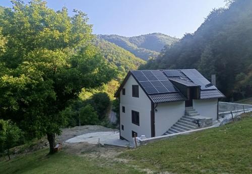 Ivan's House Cornereva in Rusca