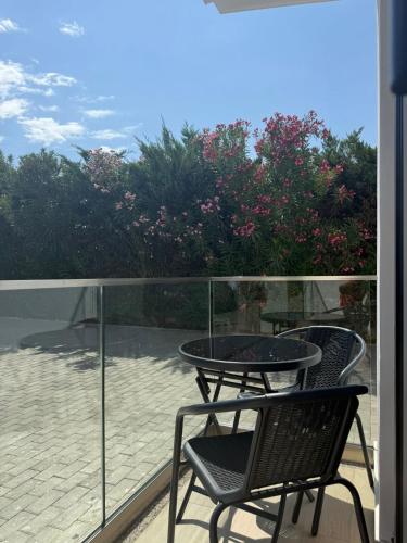 Hotel Bristol Velipoje in Велипоя