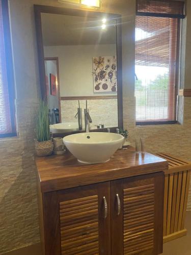 Zebula - African Dream B - Pax 6, Warm Baths (photo 4)