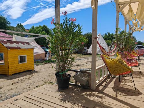 Camping by the beach Vama Veche in Vama Veche