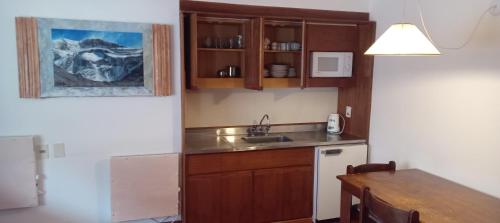 virtuve, Duplex La Reine Des Neiges in Los Penitentes