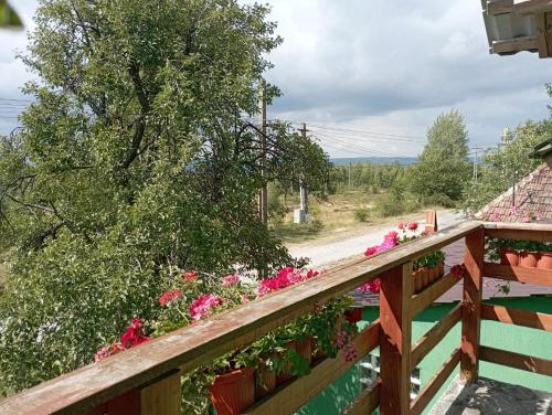 Cabana Vanatorului in Bălnaca