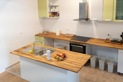 BIG DUPLEX Terrace FREE PARKING City Center, Liubliana (foto 11)
