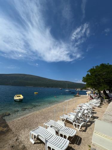 Djenovici Herceg Novi in Denovici