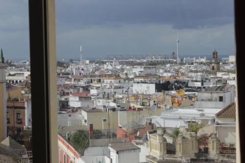 Center's Nest, Seville (photo 7)