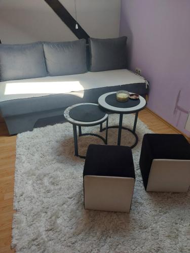 Private room in aparthmanELY