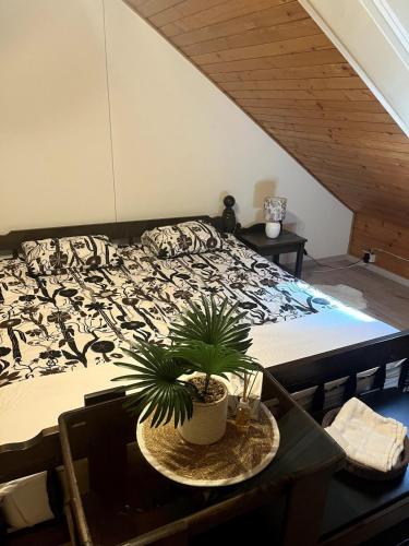 Bled Lakeview Apartment Elizabeth