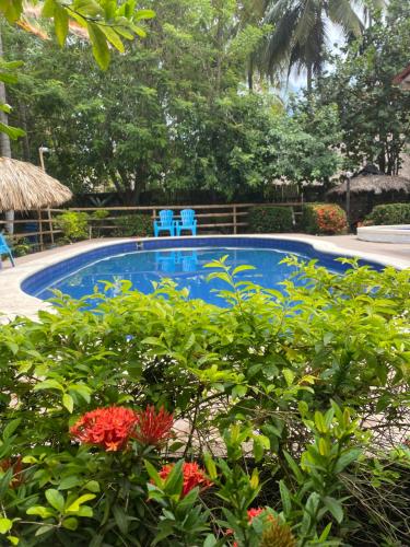 Casa jungla Palomino