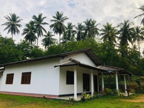 المنظر الخارجي, Vedagedara villa in تانجالا