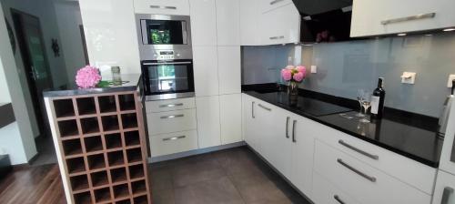 Cicha Przystan - Apartament Wyspa Solna in Wyspa Solna