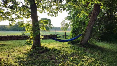 Kert, Viini puhkemaja in Kallaste (Saaremaa)