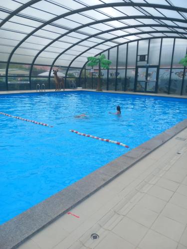 Swimming pool, PrinsHeerlijk in Harderwijk