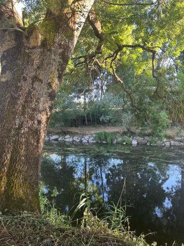 Le logis de Diane in Cande-sur-Beuvron