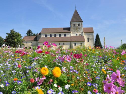 Holiday apartment Seeloft in Konstanz, Deutschland