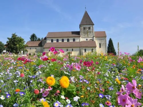 Holiday apartment Seeloft in Konstanz, Deutschland