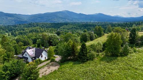 Błyszczowe Berce
