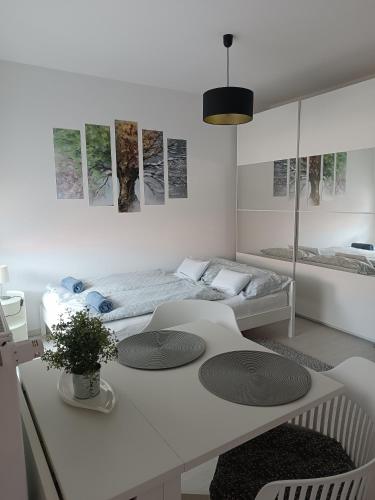 Silver apartman in Zalaegerszeg