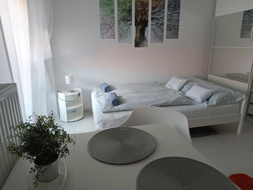 Silver apartman in Zalaegerszeg