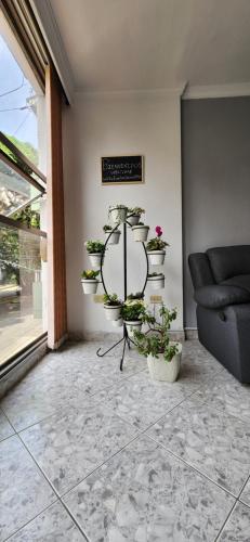 EmiliasHome Alojamiento amplio en Laureles, Medellín (fotografie 8)