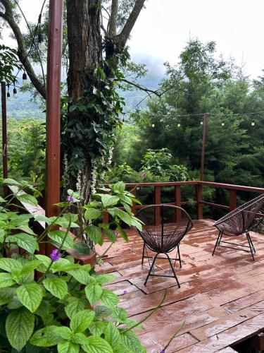 Hotel Nido de Pajaro in Los Naranjos