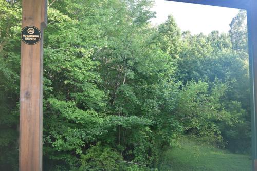 Laurel Lake Cabins in 科爾賓