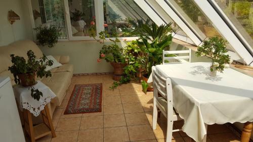 Sadržaji, Saulrieti in Saulkrasti