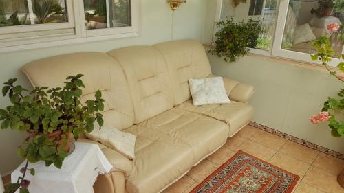 Saulrieti - main image