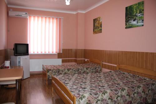 Hotel Mishel