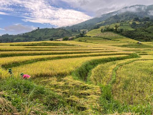 Nậm Cang Homestay