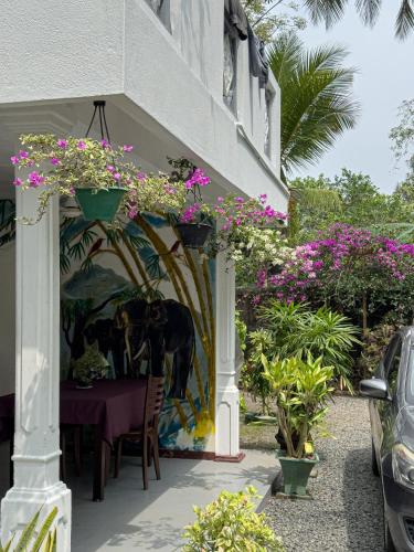 Exterior view, Solal Villa in Beruwala