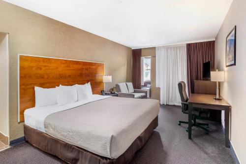 1 king bed