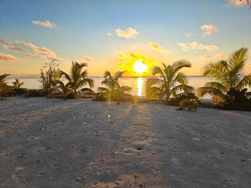 ทัศนียภาพ, Sunset Bungalows in ไอตูตากิ