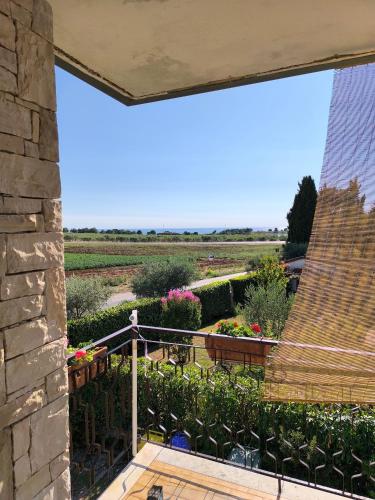 Apartments Ribic in Umag