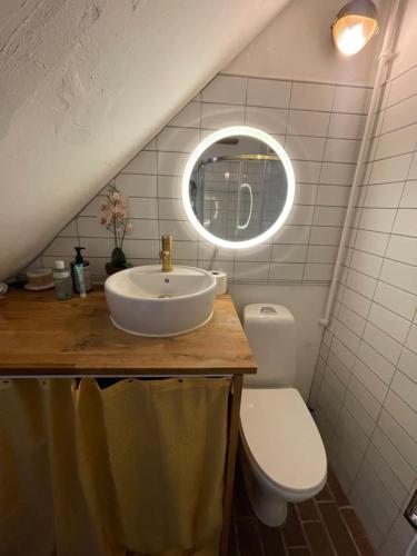 Cozy City Center Chambers with Kitchen and Garden, Copenhague (photo 8)
