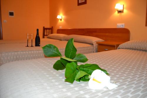 3 twin beds