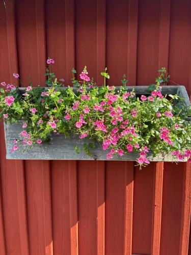 Havsutsikt Kårehamn (Havsutsikt Karehamn) in Kopingsvik