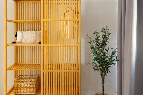 Kaiman 49 by Infinity Summer - image 3