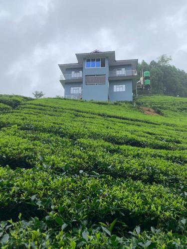 Foggy Hills Retreat in Ilam