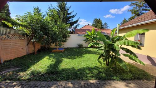 Garden, Tuba Apartman in Kiskunhalas
