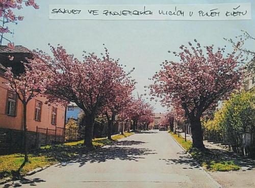 Quiet and spacious apartment with free parking and garden just a few minutes walk from the centre of Znojmo, Znojmo