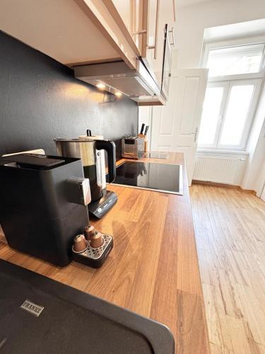 2 Bedroom Apartments, near Belvedere, Equipped Kitchen, no Elevator 4th Floor, Viena (foto 6)